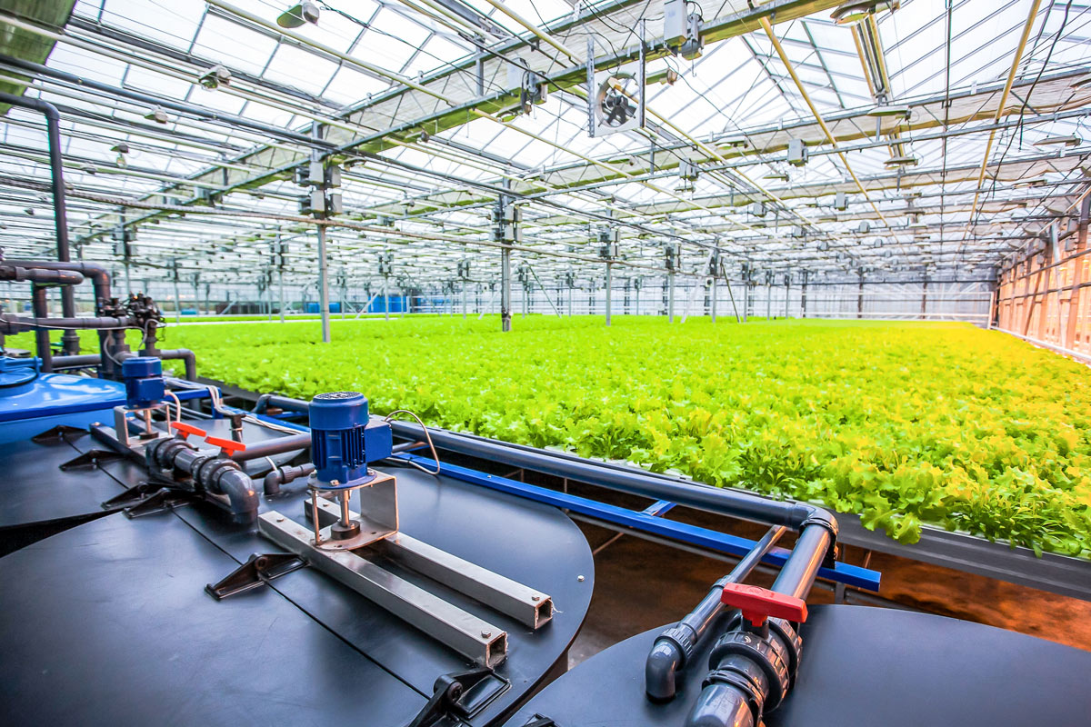 Automation in Greenhouse Facility