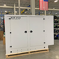 Blue Star 100 kW GM10003